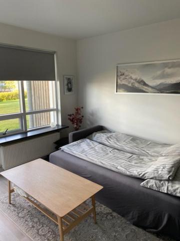David'S Apartment Selfoss Extérieur photo